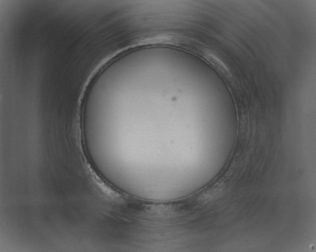 X0000073890800200608251430