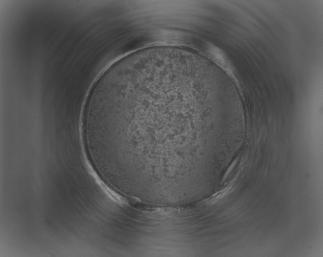 X0000073890803200608251430