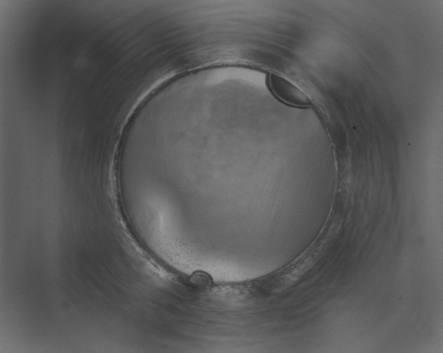 X0000073890806200608251430