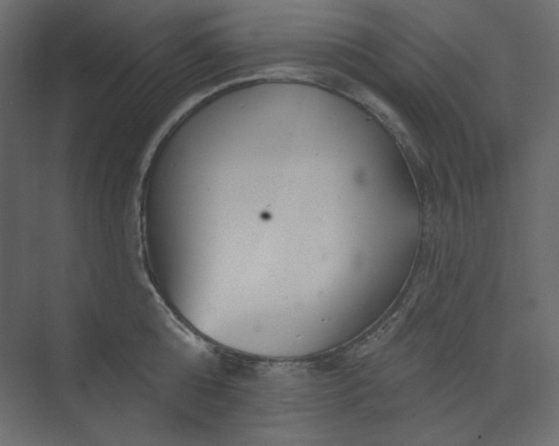 X0000073890808200608251430