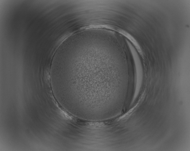 X0000073890809200608251430