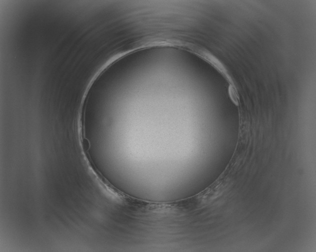 X0000073890811200608251430