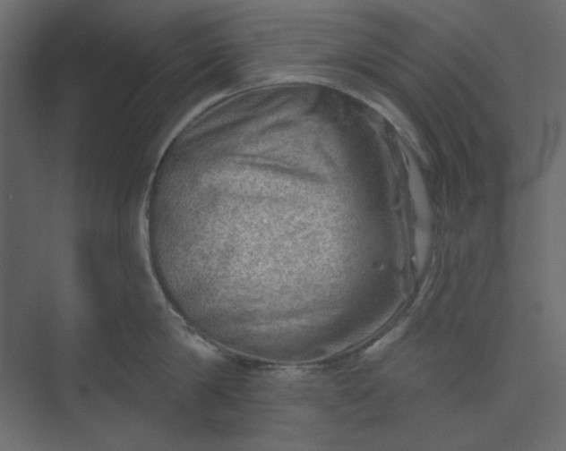 X0000073890814200608251430