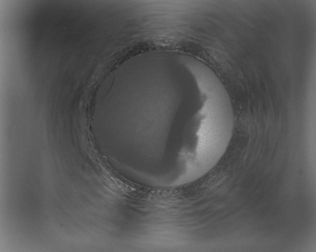 X0000073890817200608251429