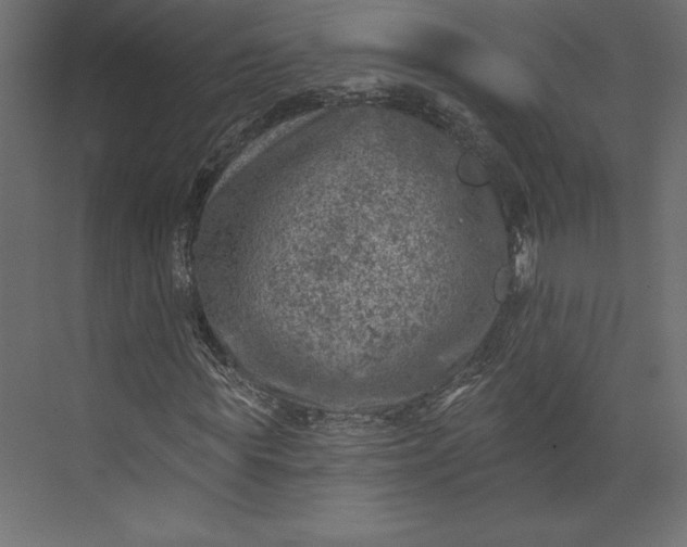 X0000073890819200608251429