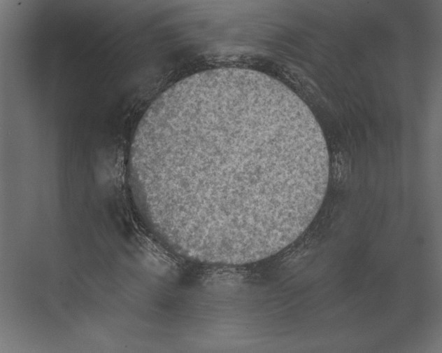 X0000073890820200608251429