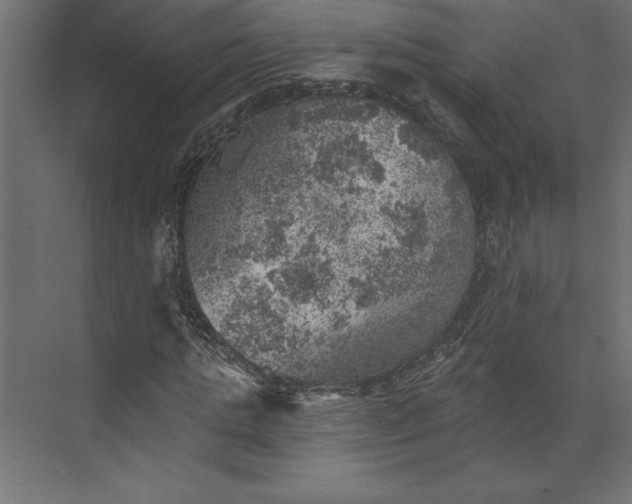 X0000073890821200608251429