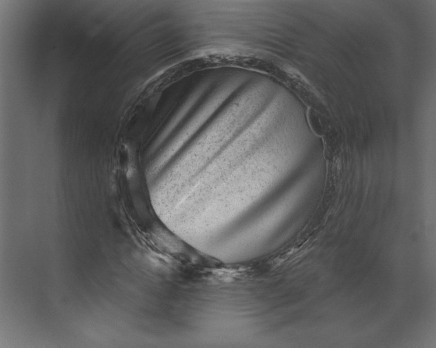 X0000073890822200608251429