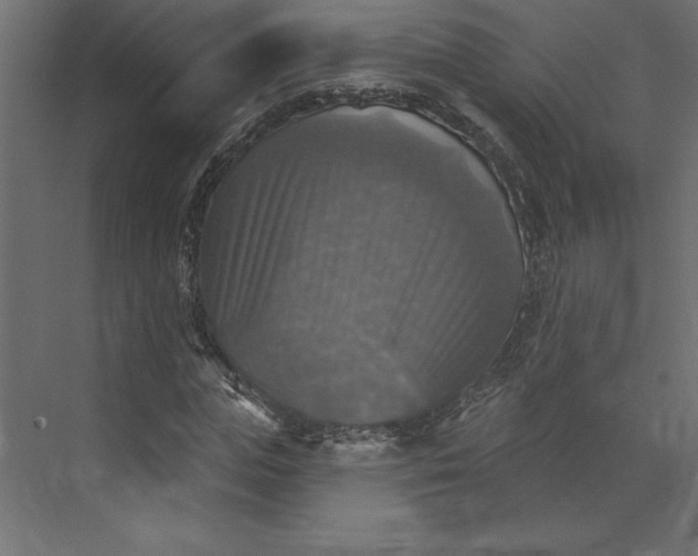 X0000073890823200608251429