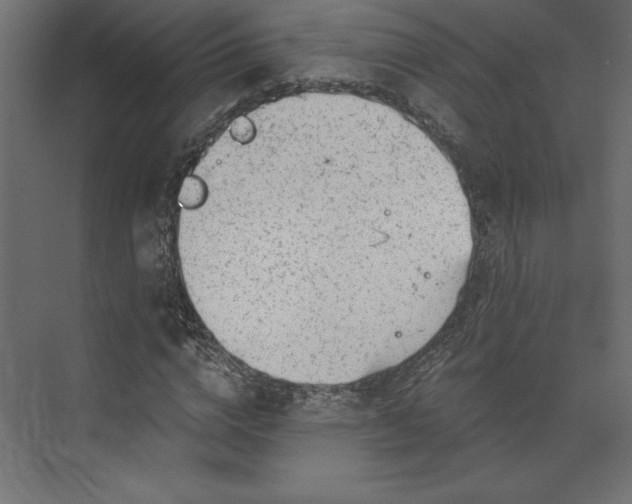 X0000073890824200608251429