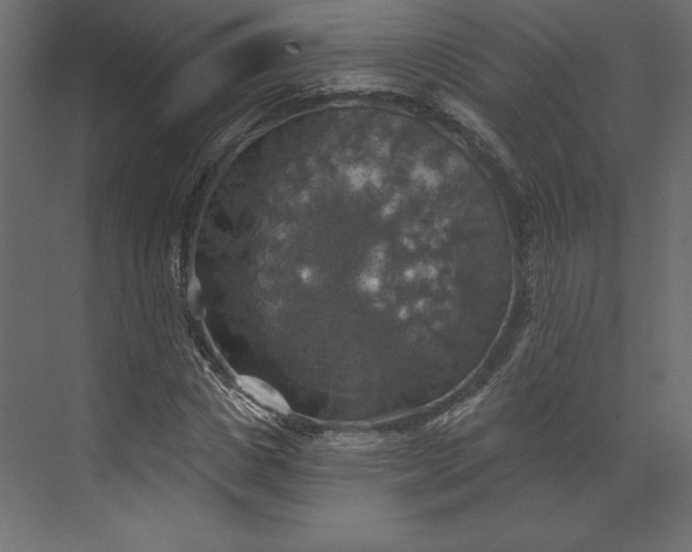 X0000073890825200608251429