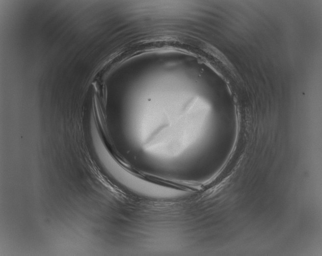 X0000073890826200608251429