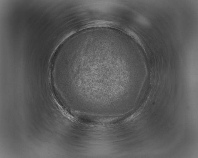 X0000073890827200608251429