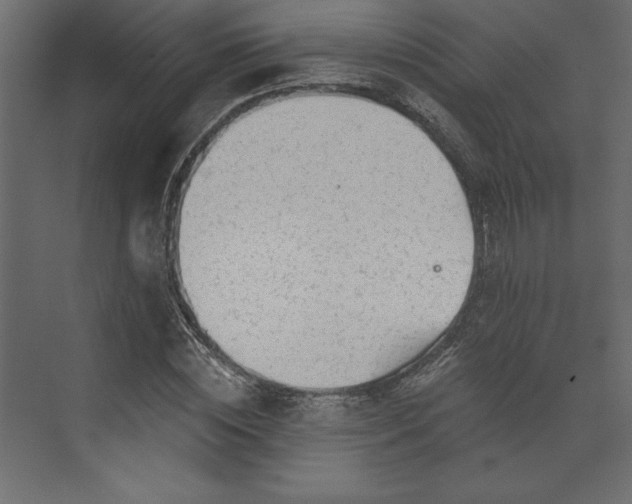 X0000073890828200608251429