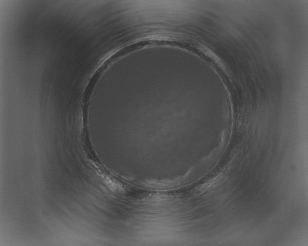 X0000073890829200608251429