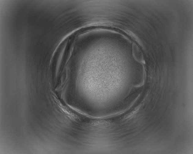 X0000073890830200608251429