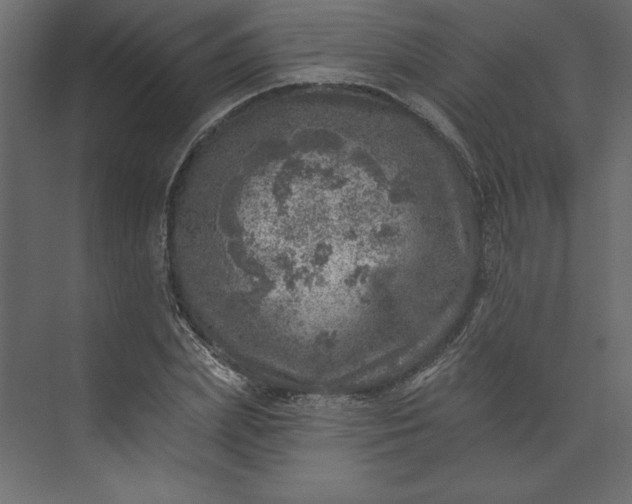 X0000073890831200608251429