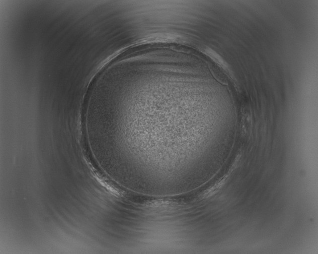 X0000073890834200608251429