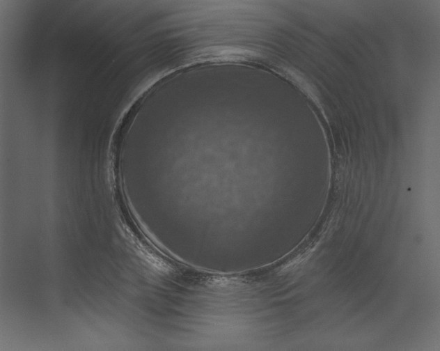 X0000073890835200608251429