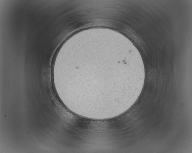 X0000073890836200608251429