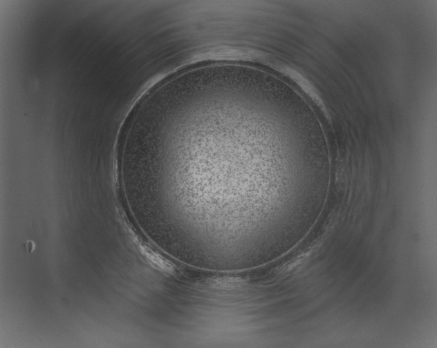 X0000073890837200608251429