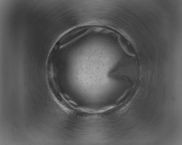 X0000073890838200608251429