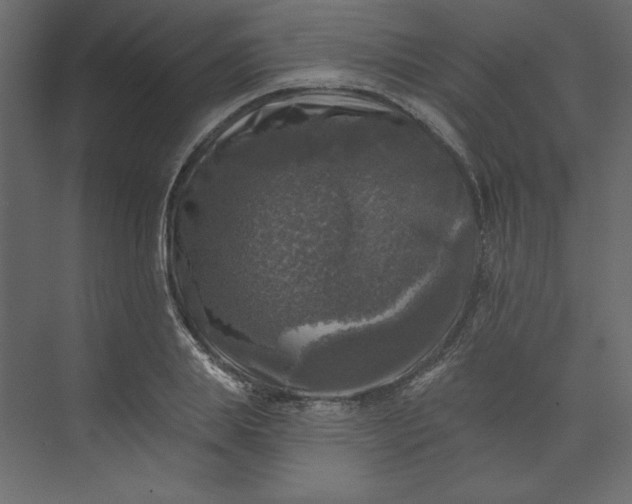 X0000073890839200608251429