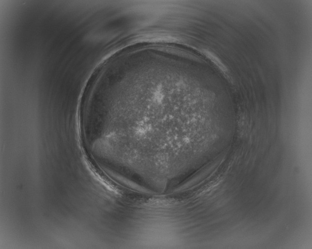 X0000073890840200608251429