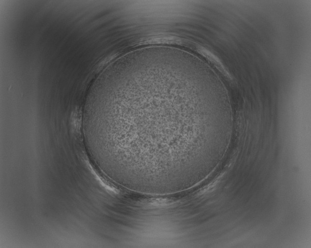 X0000073890841200608251429