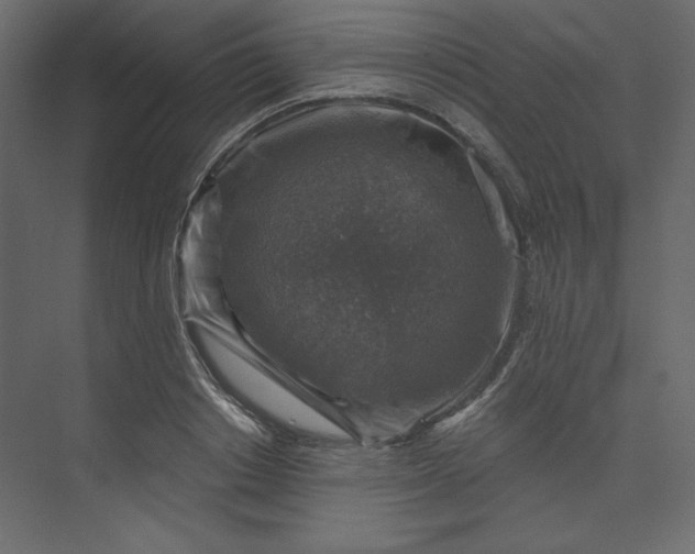 X0000073890842200608251429