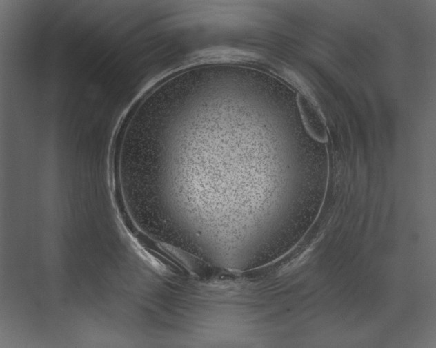 X0000073890843200608251429