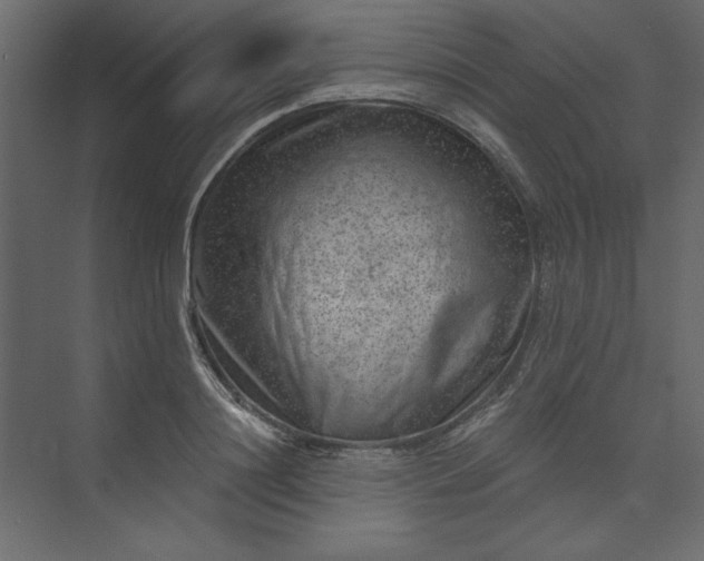 X0000073890844200608251429