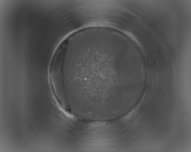 X0000073890846200608251429