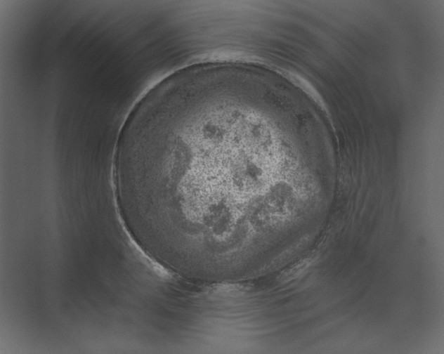 X0000073890847200608251429