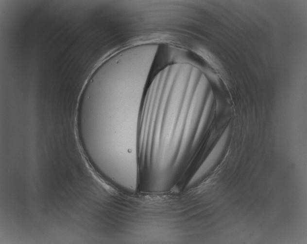 X0000073890850200608251429