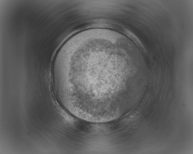 X0000073890852200608251429