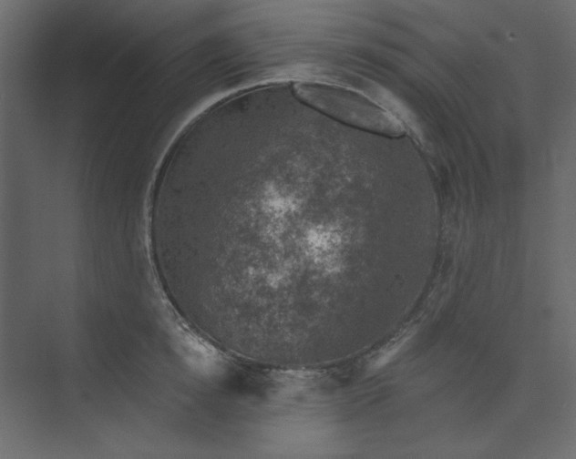 X0000073890854200608251429