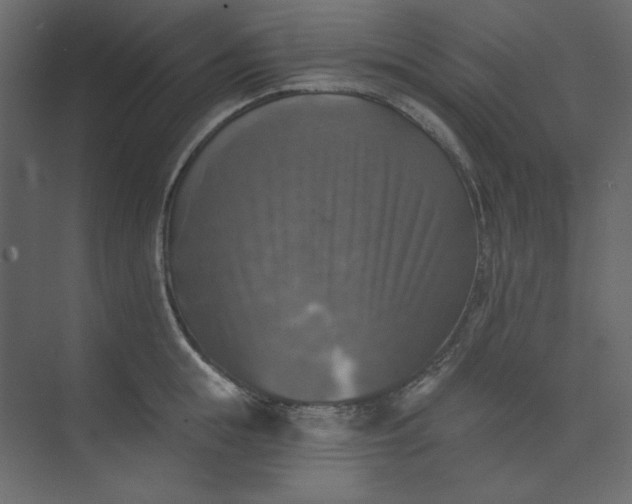 X0000073890855200608251429