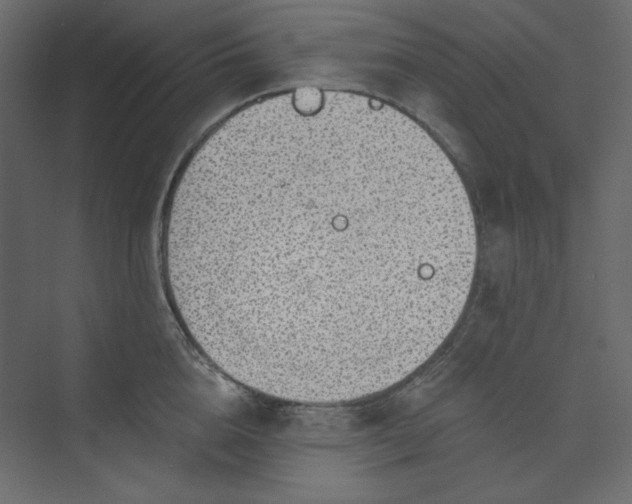 X0000073890856200608251429