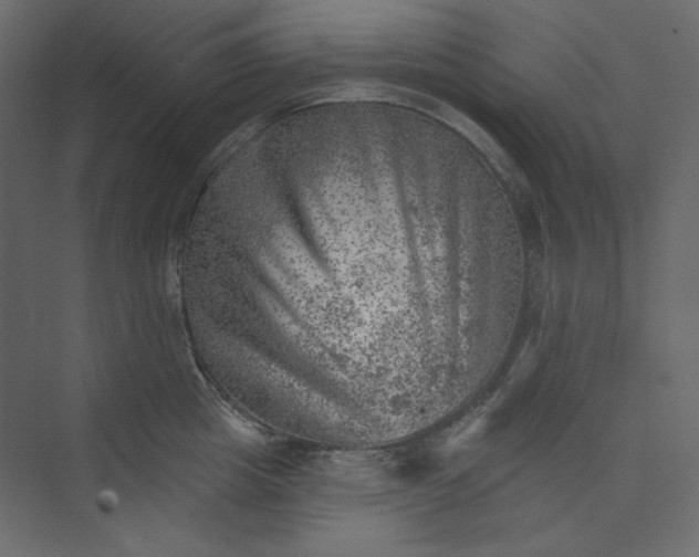 X0000073890857200608251429