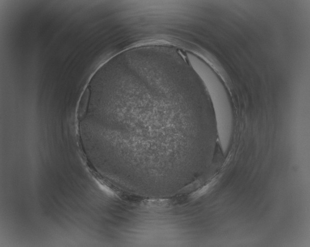 X0000073890858200608251429