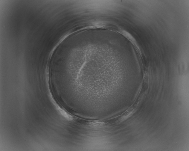 X0000073890859200608251429