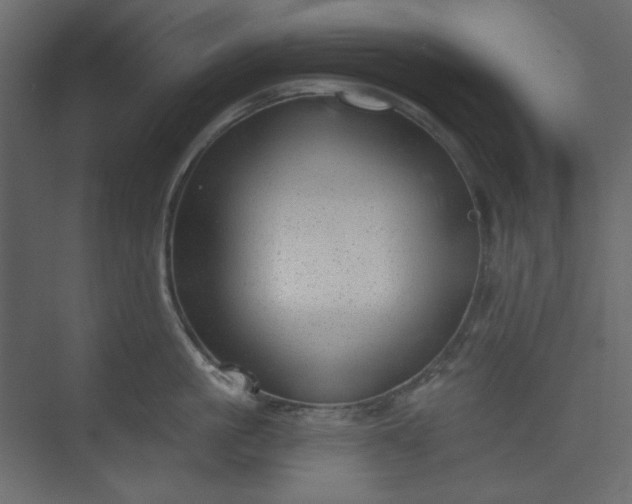 X0000073890861200608251429