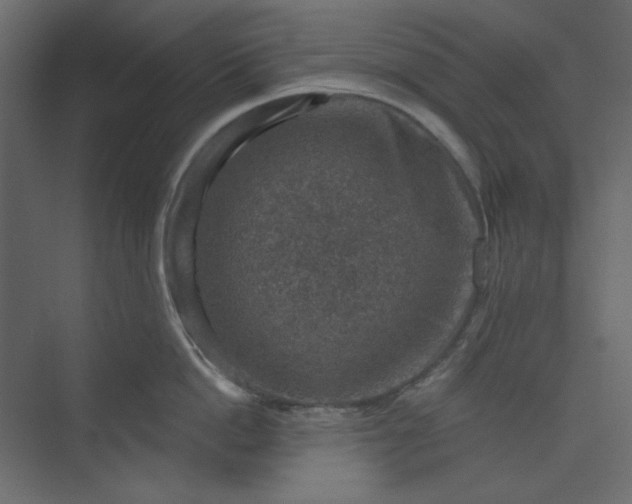 X0000073890862200608251429