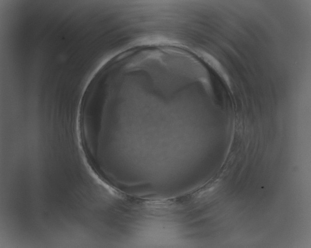 X0000073890863200608251429