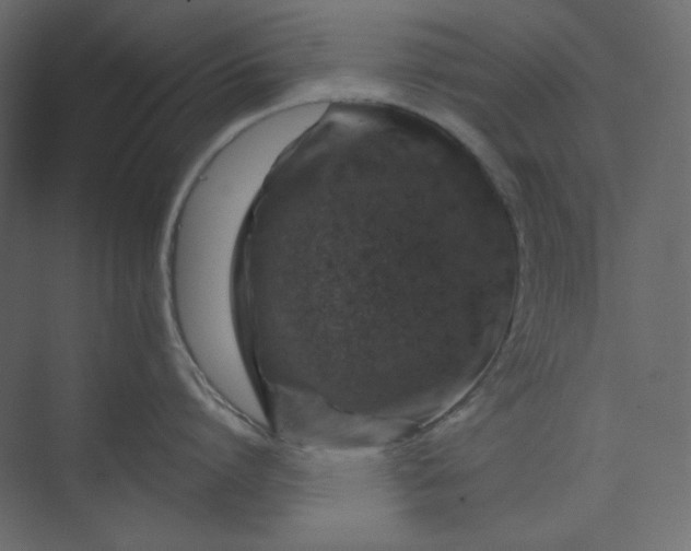 X0000073890864200608251429