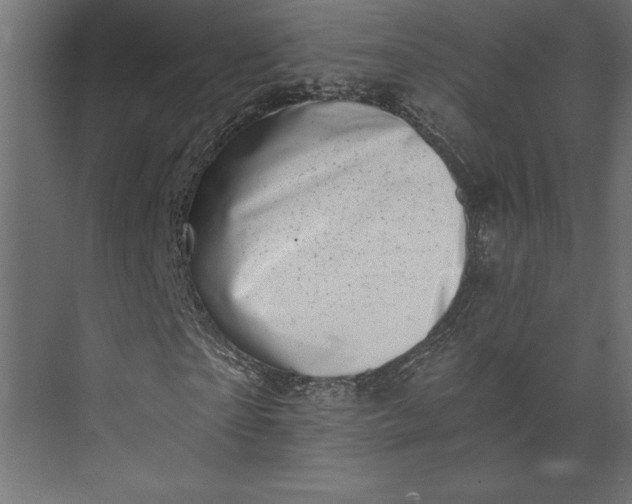 X0000073890865200608251429