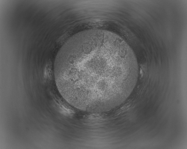 X0000073890867200608251429