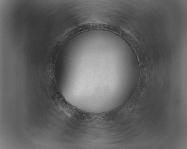 X0000073890870200608251429