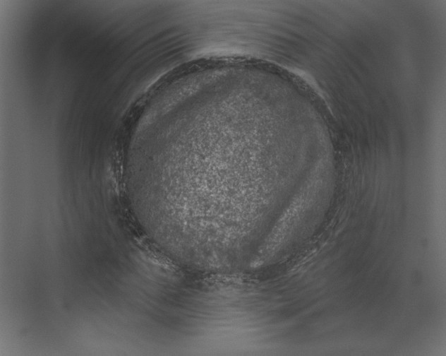 X0000073890871200608251429